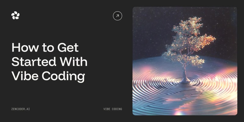 vibe ride net worth